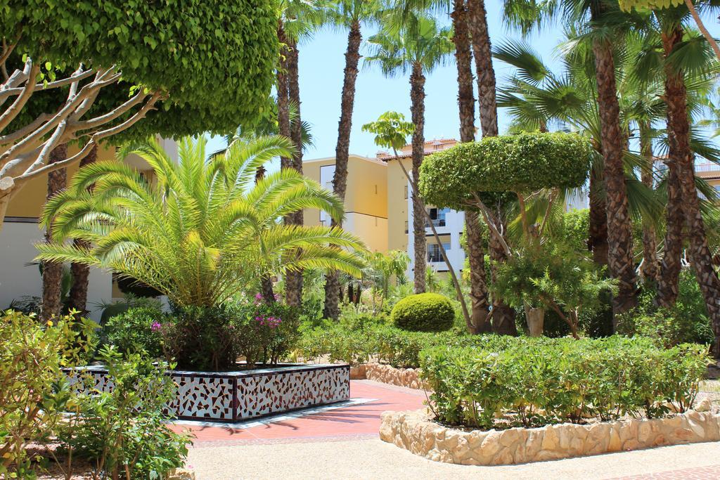 Aldea Del Mar Apartment ตอร์เรเวียคา ภายนอก รูปภาพ